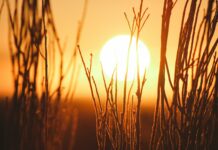 WMO: Do 2030. prosječne globalne temperature mogu biti i do 1,9°C iznad nivoa iz perioda 1850–1900.