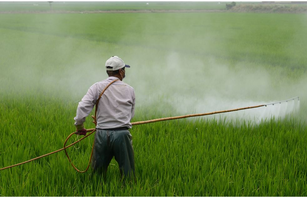 Izvoz zabranjenih pesticida iz EU dramatično porastao, obećanja ostala mrtvo slovo na papiru
