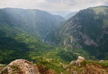 Srbija i Republika Srpska povezale četiri zaštićena područja u jedinstvenu cjelinu „Tara–Drina“